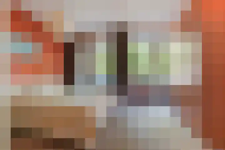 Professor Cobbenhagenlaan 250 Tilburg thumbnail 20