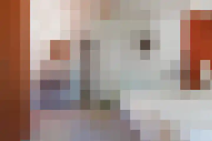 Professor Cobbenhagenlaan 250 Tilburg thumbnail 22