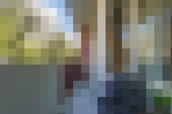 Professor Cobbenhagenlaan 250 Tilburg thumbnail 26