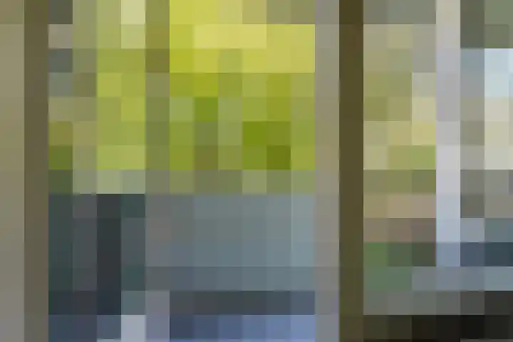 Professor Cobbenhagenlaan 250 Tilburg thumbnail 27