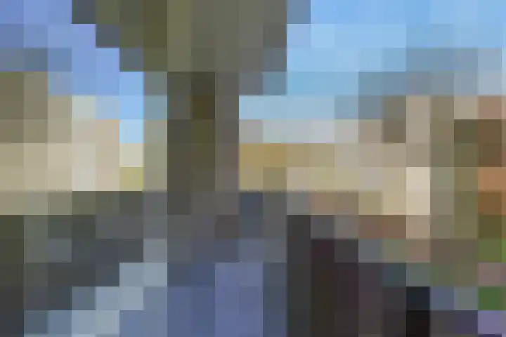 Professor Cobbenhagenlaan 250 Tilburg thumbnail 28