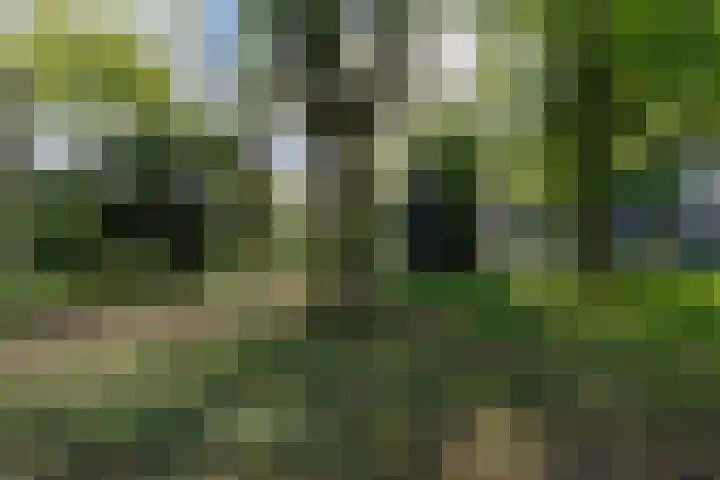 Professor Cobbenhagenlaan 250 Tilburg thumbnail 31
