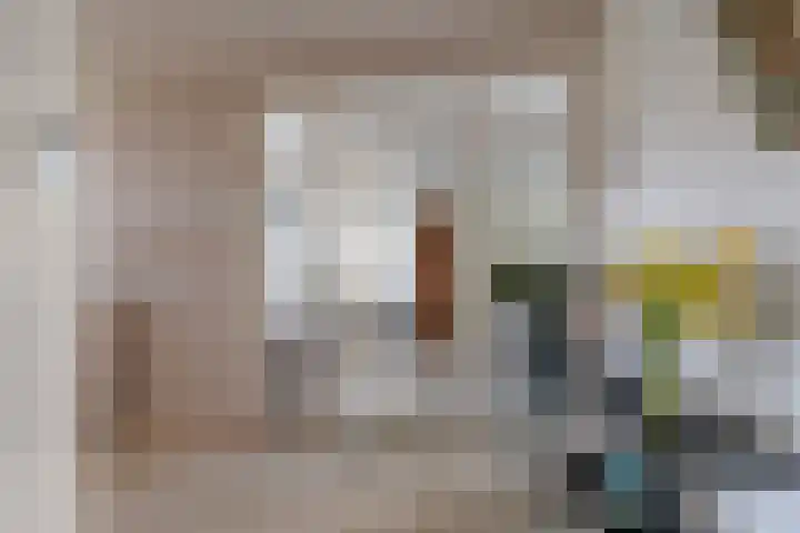 Professor Cobbenhagenlaan 250 Tilburg thumbnail 6