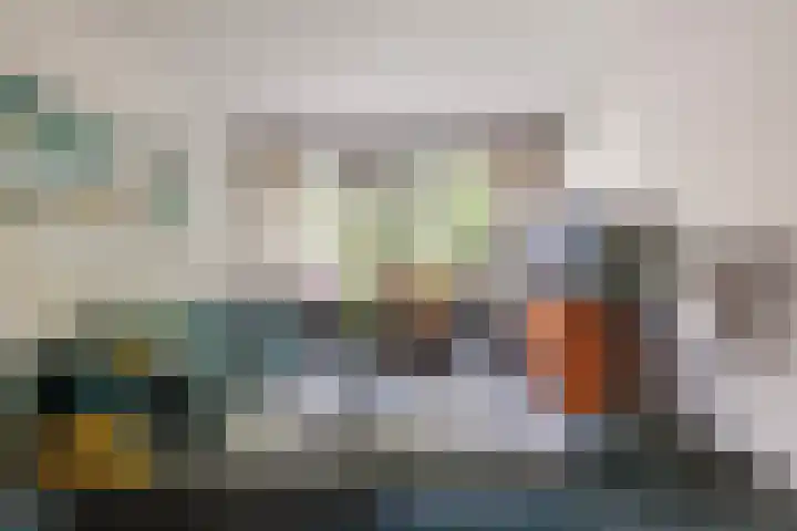 Professor Cobbenhagenlaan 250 Tilburg thumbnail 8