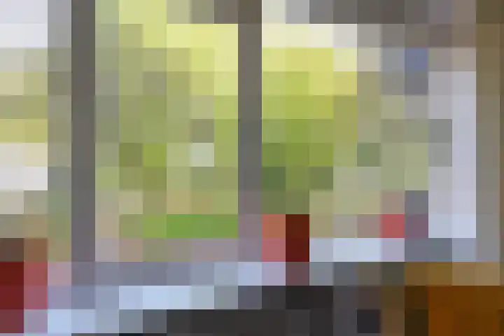 Professor Cobbenhagenlaan 250 Tilburg thumbnail 9
