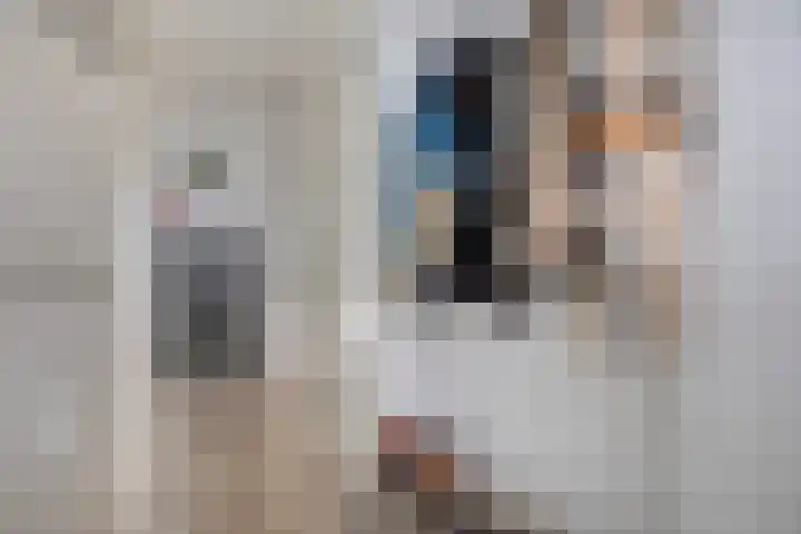 Professor Cobbenhagenlaan 264 Tilburg thumbnail 11