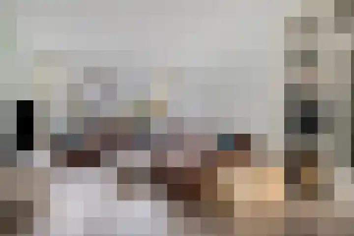Professor Cobbenhagenlaan 264 Tilburg thumbnail 17