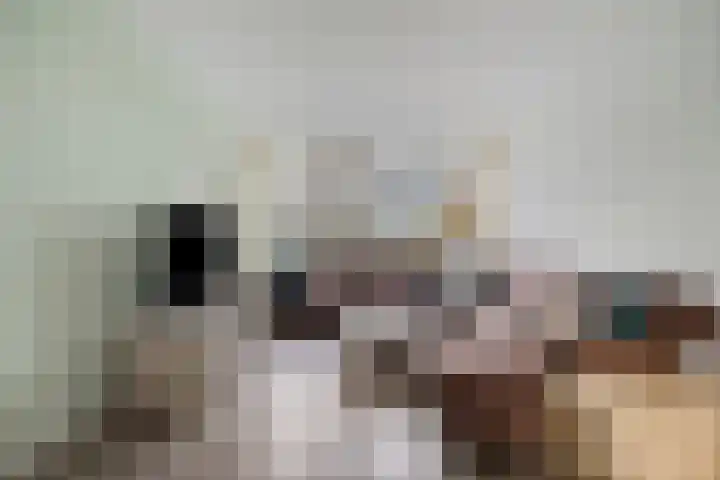 Professor Cobbenhagenlaan 264 Tilburg thumbnail 18