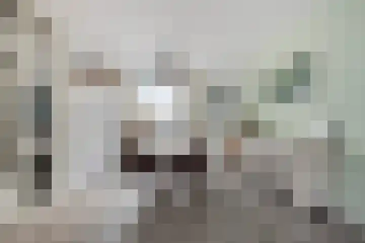 Professor Cobbenhagenlaan 264 Tilburg thumbnail 20
