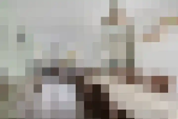 Professor Cobbenhagenlaan 264 Tilburg thumbnail 21