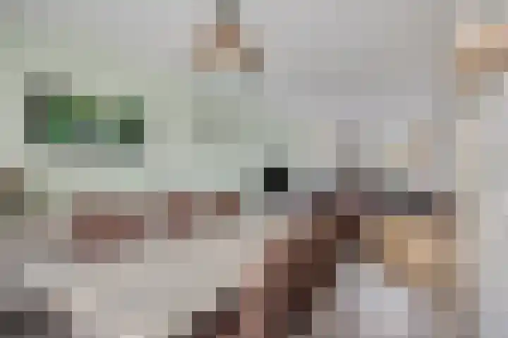 Professor Cobbenhagenlaan 264 Tilburg thumbnail 22
