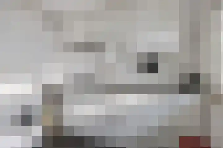 Professor Cobbenhagenlaan 264 Tilburg thumbnail 24