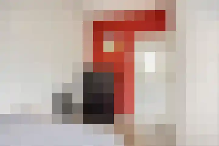 Professor Cobbenhagenlaan 264 Tilburg thumbnail 29