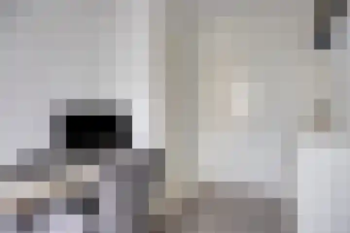 Professor Cobbenhagenlaan 264 Tilburg thumbnail 33