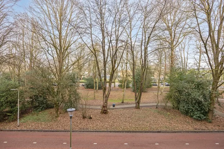 Professor Cobbenhagenlaan 264 Tilburg thumbnail 39