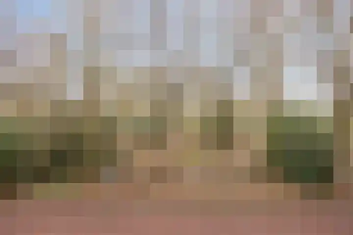 Professor Cobbenhagenlaan 264 Tilburg thumbnail 39