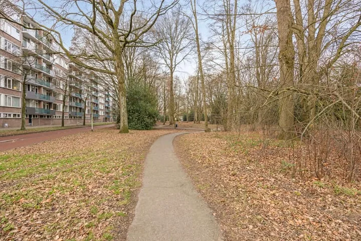 Professor Cobbenhagenlaan 264 Tilburg thumbnail 42