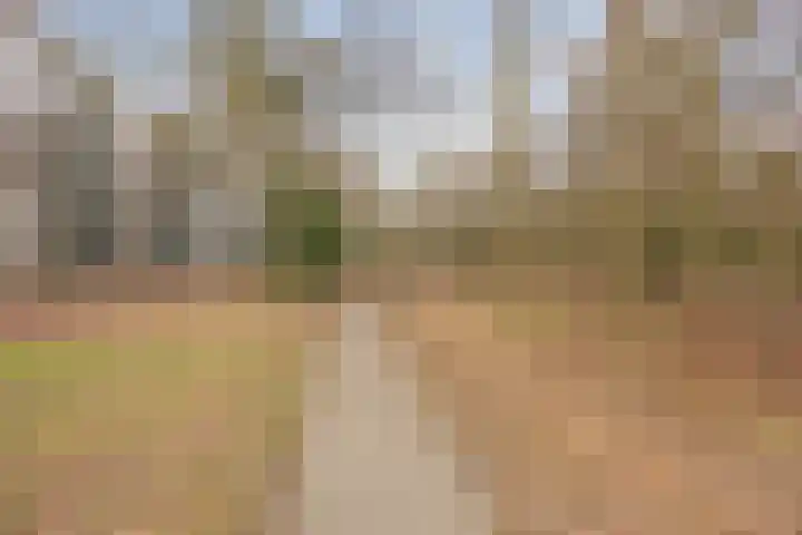 Professor Cobbenhagenlaan 264 Tilburg thumbnail 42
