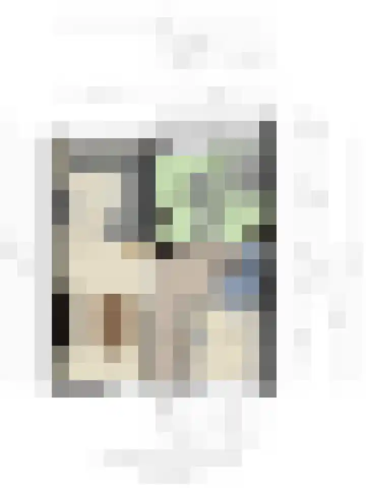 Professor Cobbenhagenlaan 264 Tilburg thumbnail 48