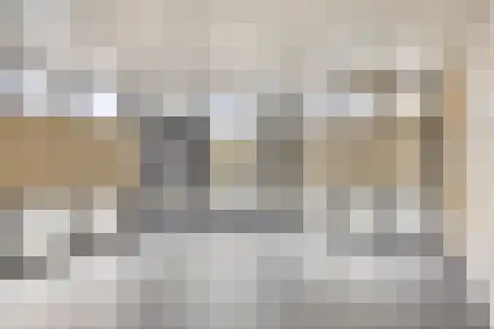 Professor Cobbenhagenlaan 264 Tilburg thumbnail 9