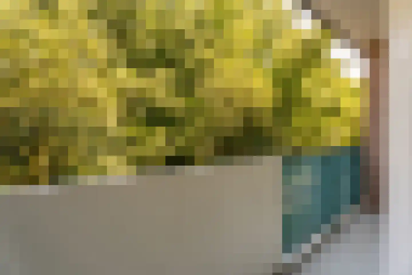 Professor Cobbenhagenlaan 276 Tilburg thumbnail 16