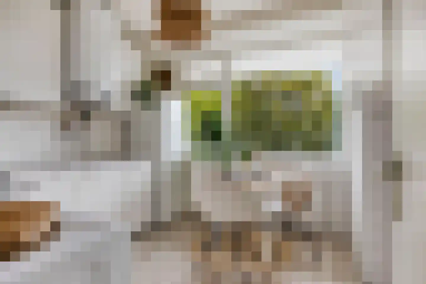 Professor Cobbenhagenlaan 286 Tilburg thumbnail 14