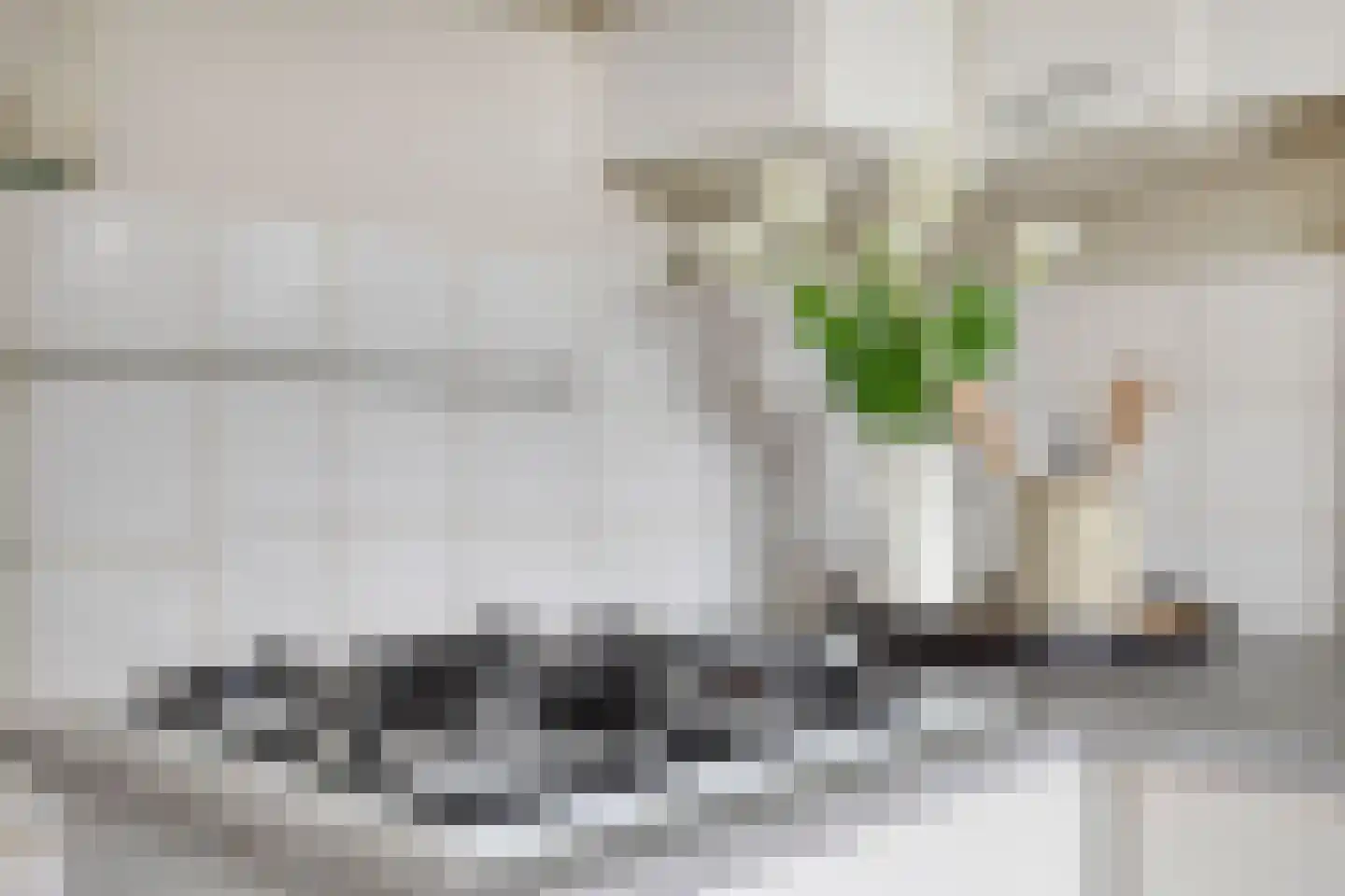 Professor Cobbenhagenlaan 286 Tilburg thumbnail 17