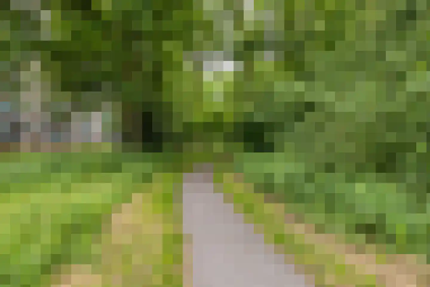 Professor Cobbenhagenlaan 286 Tilburg thumbnail 41