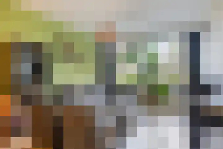 Professor Cobbenhagenlaan 306 Tilburg thumbnail 12