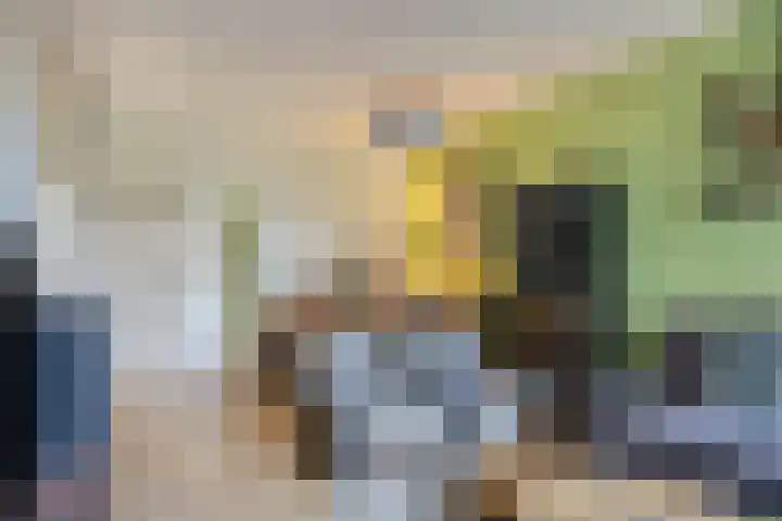 Professor Cobbenhagenlaan 306 Tilburg thumbnail 13
