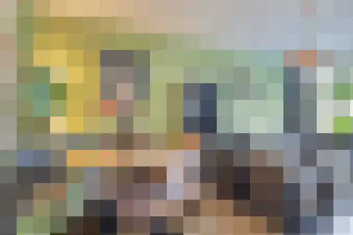 Professor Cobbenhagenlaan 306 Tilburg thumbnail 15