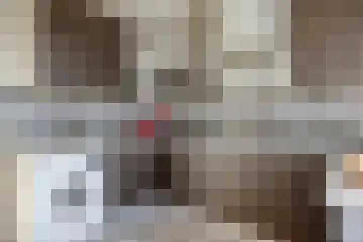 Professor Cobbenhagenlaan 306 Tilburg thumbnail 4