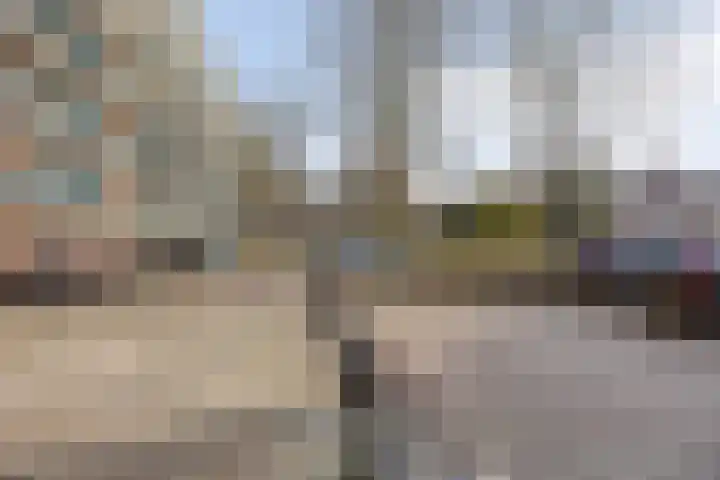 Professor Cobbenhagenlaan 306 Tilburg thumbnail 7