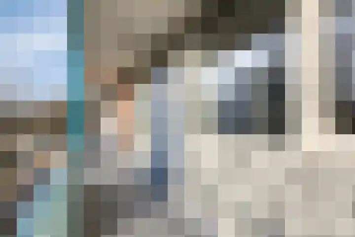 Professor Cobbenhagenlaan 306 Tilburg thumbnail 8