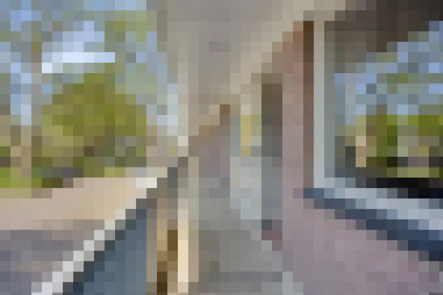 Professor Cobbenhagenlaan 32 Tilburg thumbnail 11