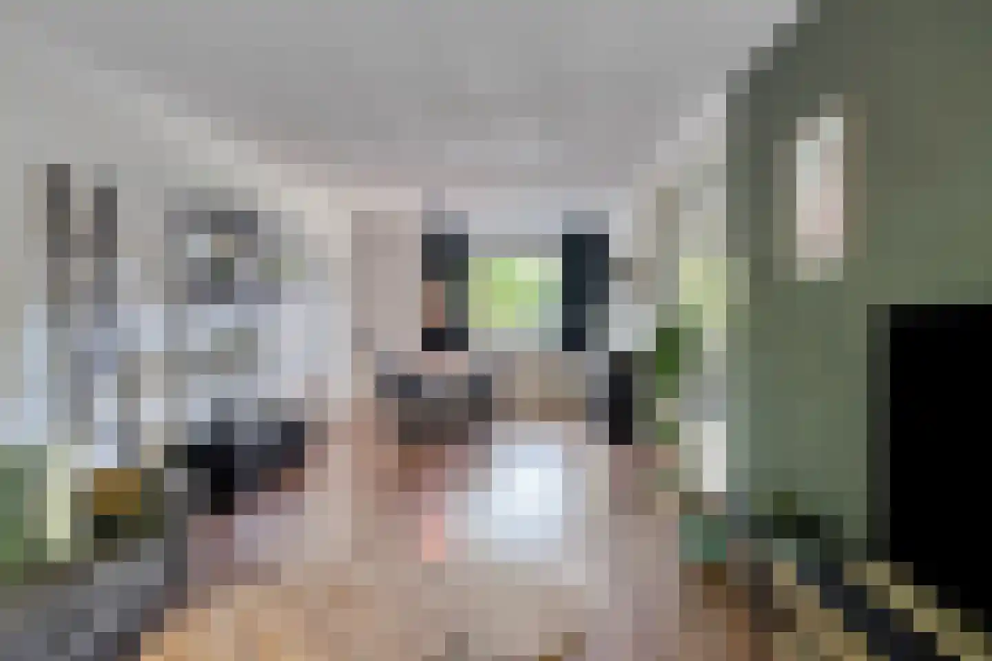 Professor Cobbenhagenlaan 32 Tilburg thumbnail 19