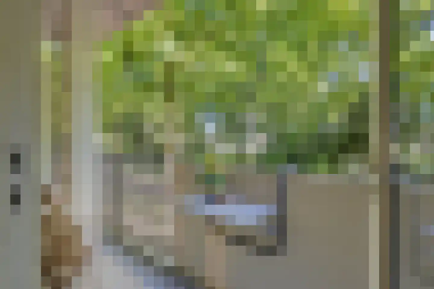 Professor Cobbenhagenlaan 32 Tilburg thumbnail 30