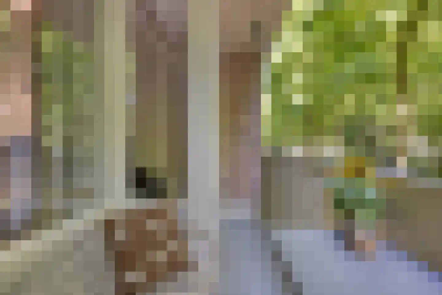 Professor Cobbenhagenlaan 32 Tilburg thumbnail 31