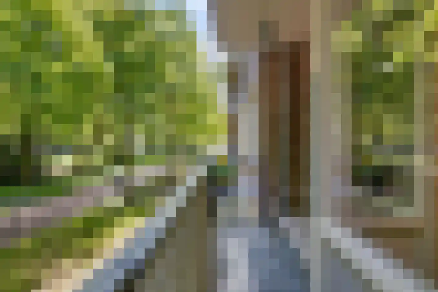 Professor Cobbenhagenlaan 32 Tilburg thumbnail 32