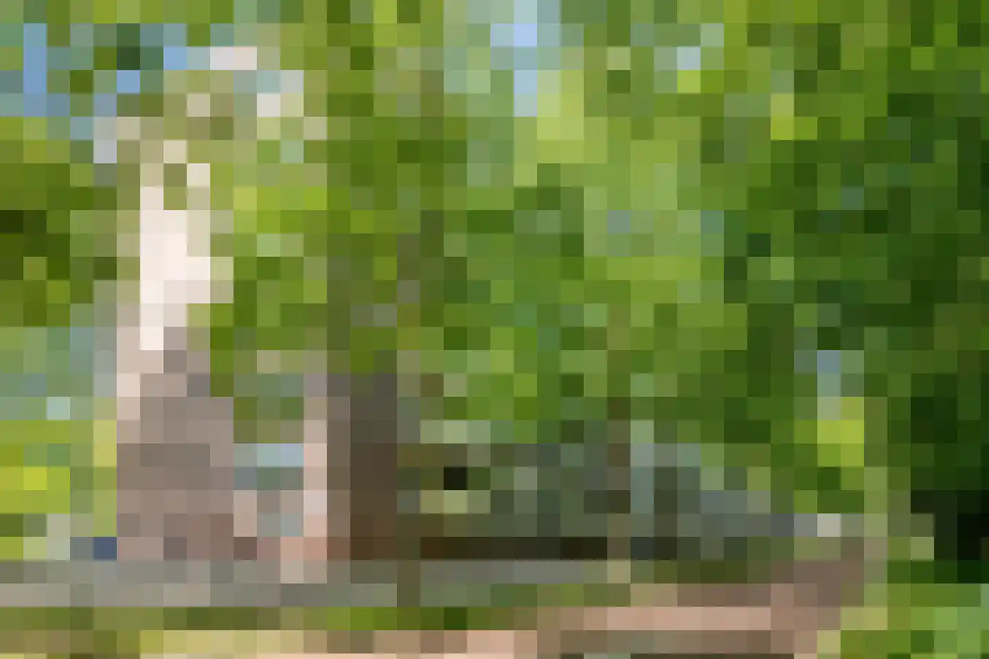 Professor Cobbenhagenlaan 32 Tilburg thumbnail 39