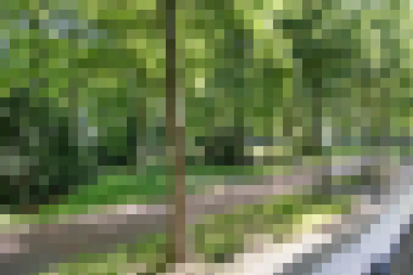 Professor Cobbenhagenlaan 32 Tilburg thumbnail 40