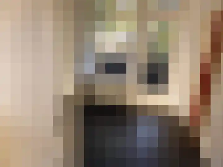 Professor Cobbenhagenlaan 36 Tilburg thumbnail 8