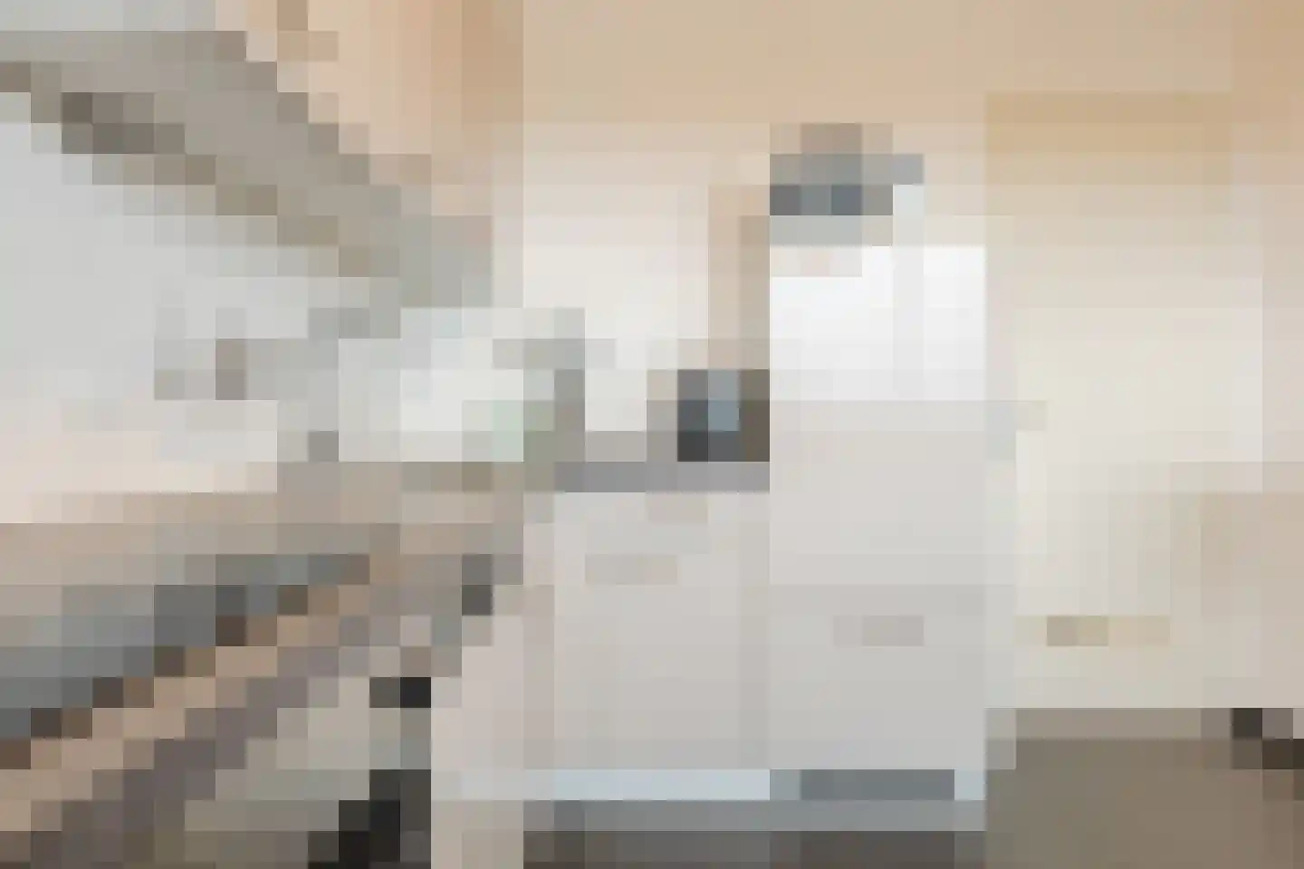 Professor Cobbenhagenlaan 360 Tilburg thumbnail 11