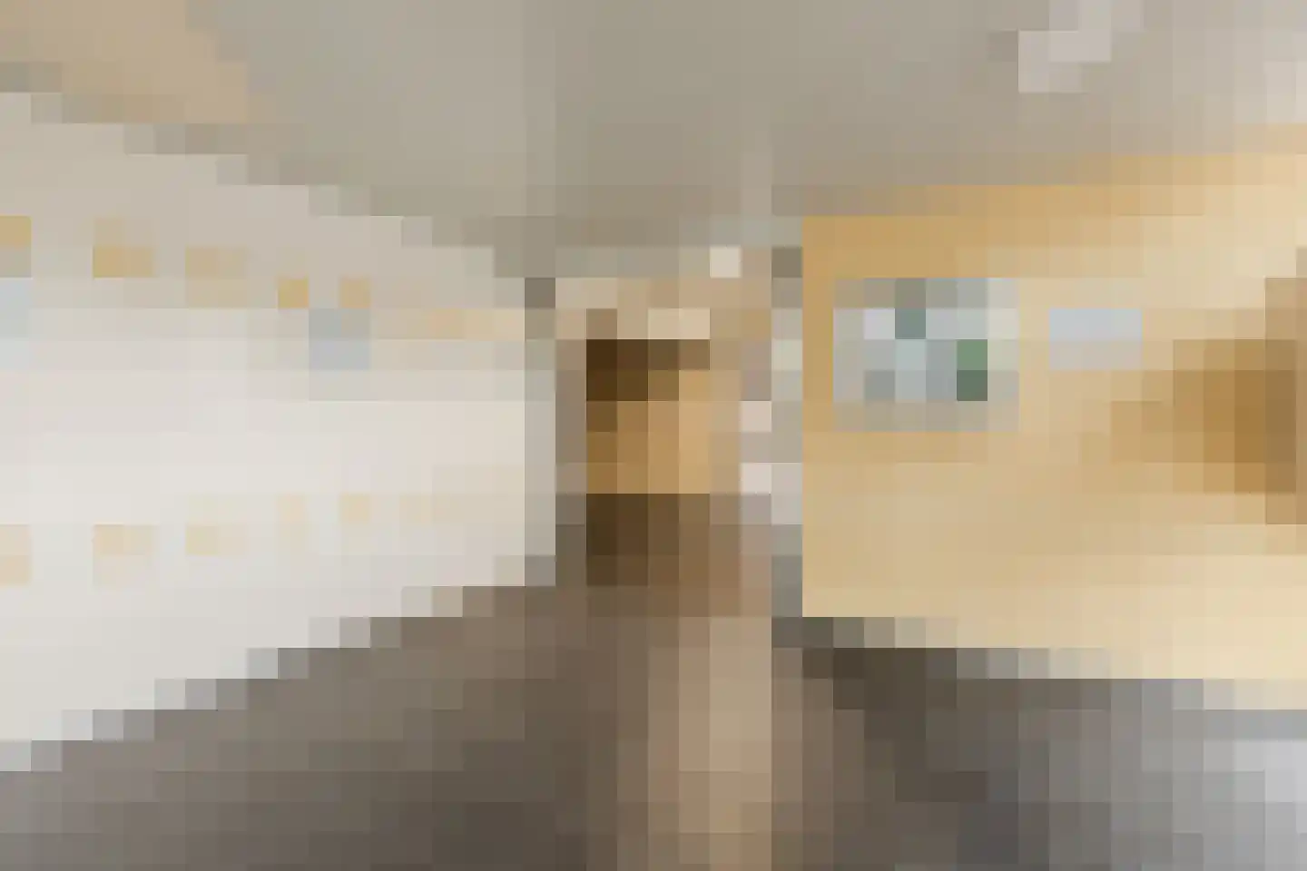 Professor Cobbenhagenlaan 360 Tilburg thumbnail 4