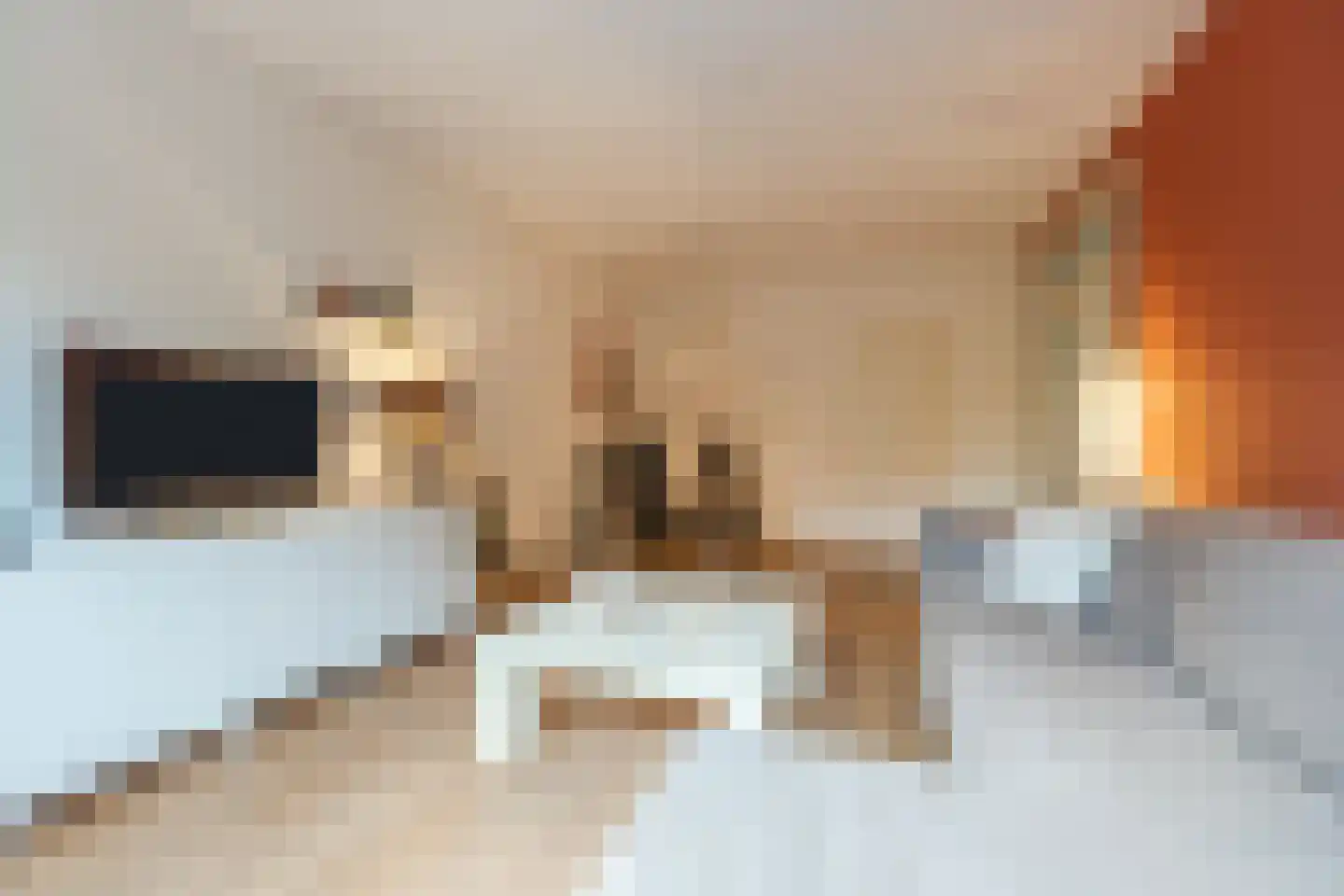 Professor Cobbenhagenlaan 360 Tilburg thumbnail 7
