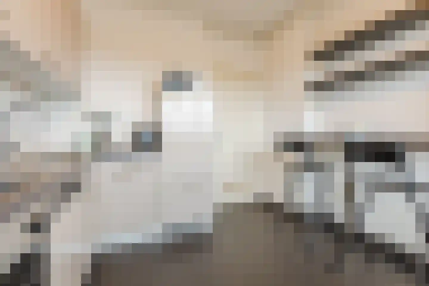 Professor Cobbenhagenlaan 360 Tilburg thumbnail 9