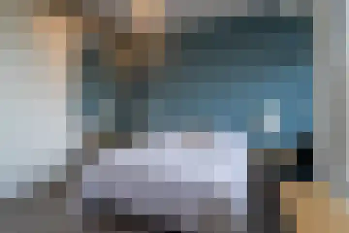Professor Cobbenhagenlaan 398 Tilburg thumbnail 12