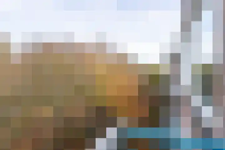 Professor Cobbenhagenlaan 398 Tilburg thumbnail 16