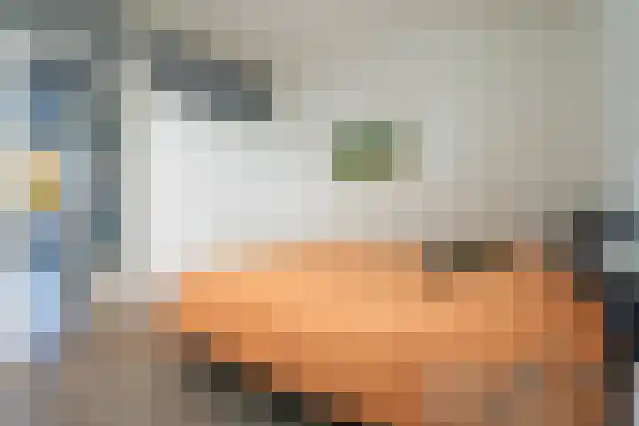 Professor Cobbenhagenlaan 398 Tilburg thumbnail 18