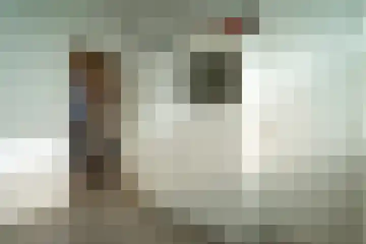 Professor Cobbenhagenlaan 398 Tilburg thumbnail 20